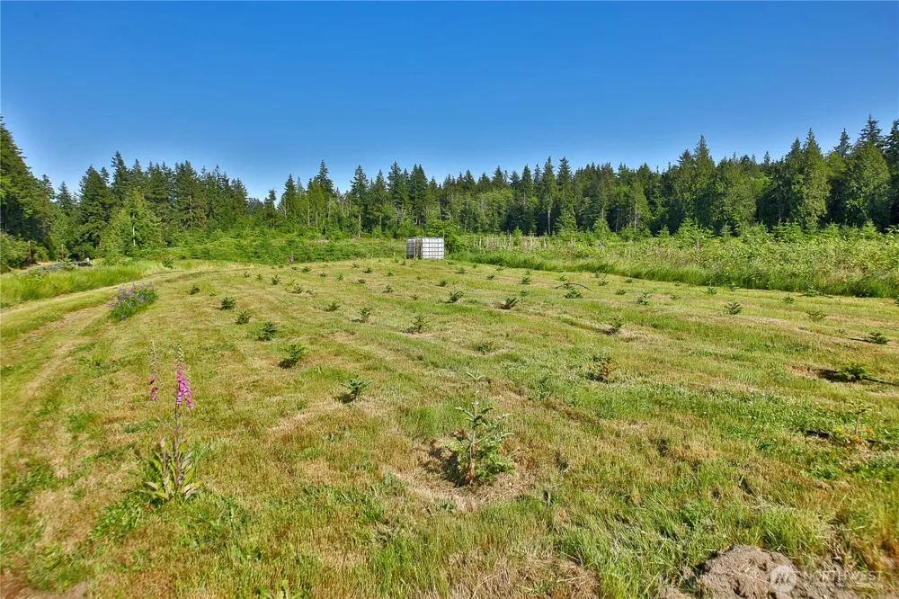 2062 Goodell Road Freeland, WA 98249