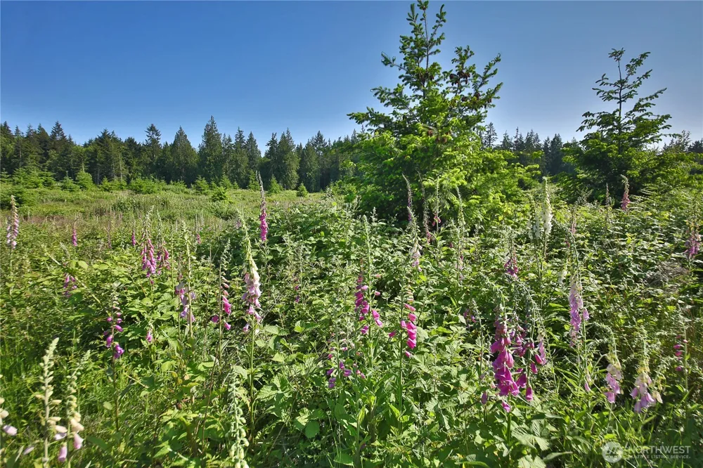 2062 Goodell Road Freeland, WA 98249