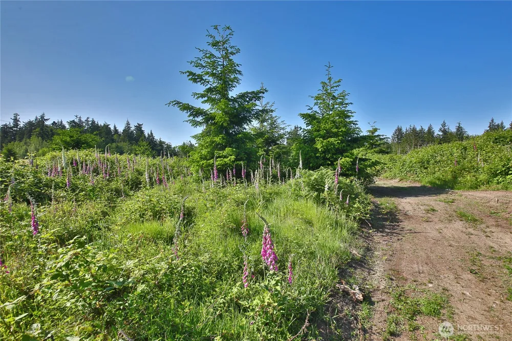 2062 Goodell Road Freeland, WA 98249