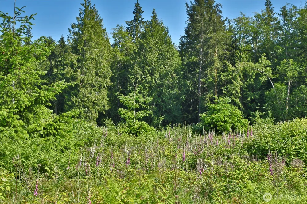 2062 Goodell Road Freeland, WA 98249