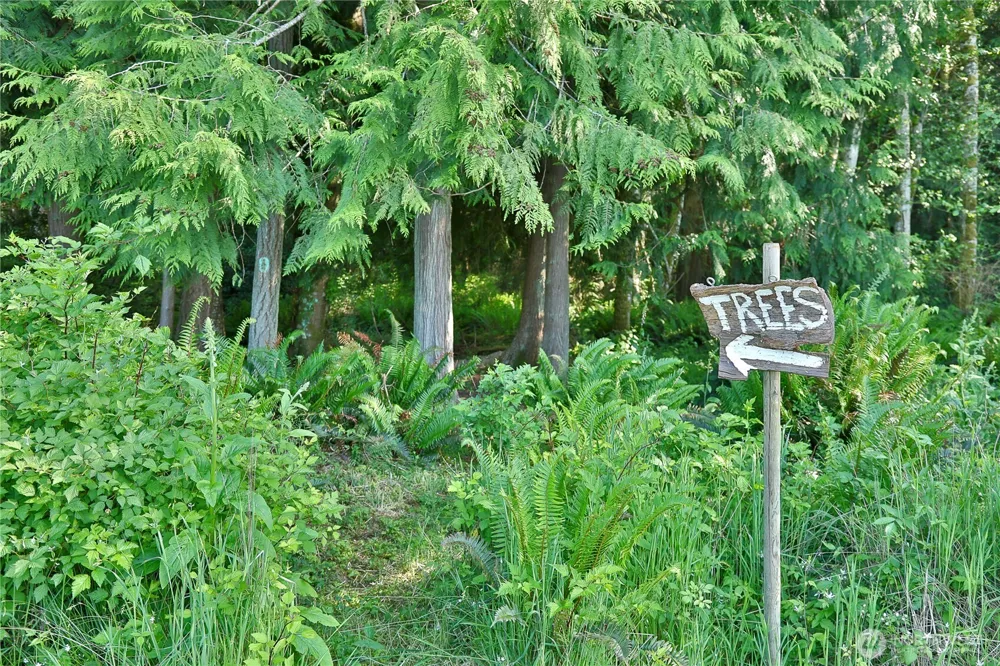 2062 Goodell Road Freeland, WA 98249