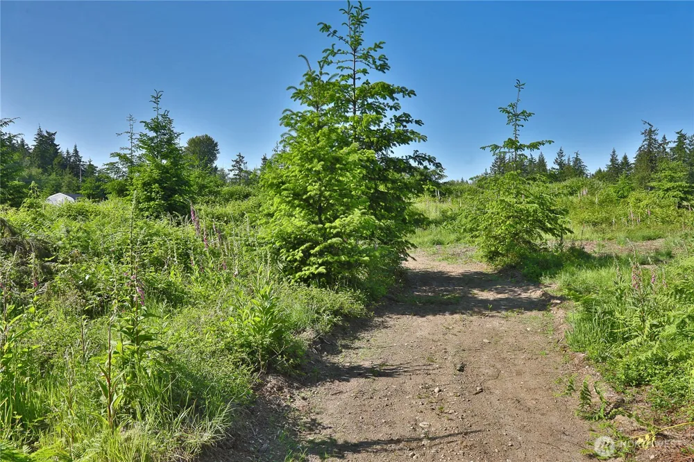 2062 Goodell Road Freeland, WA 98249