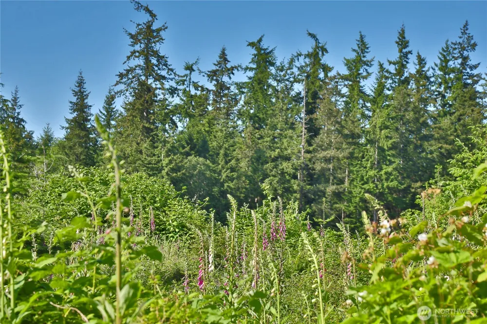 2062 Goodell Road Freeland, WA 98249
