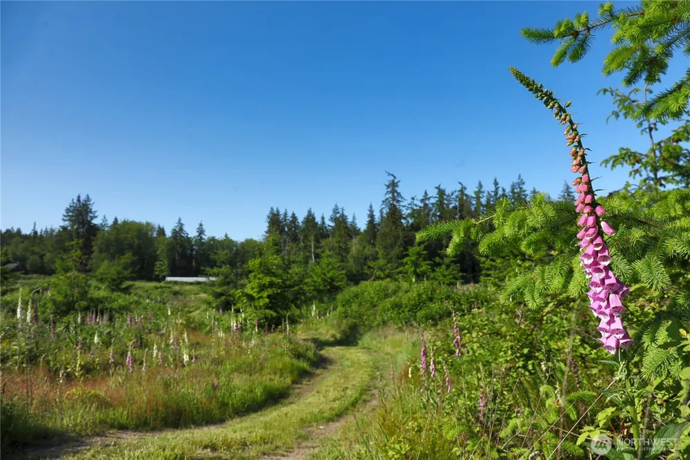 2062 Goodell Road Freeland, WA 98249
