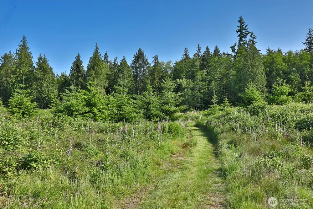2062 Goodell Road Freeland, WA 98249