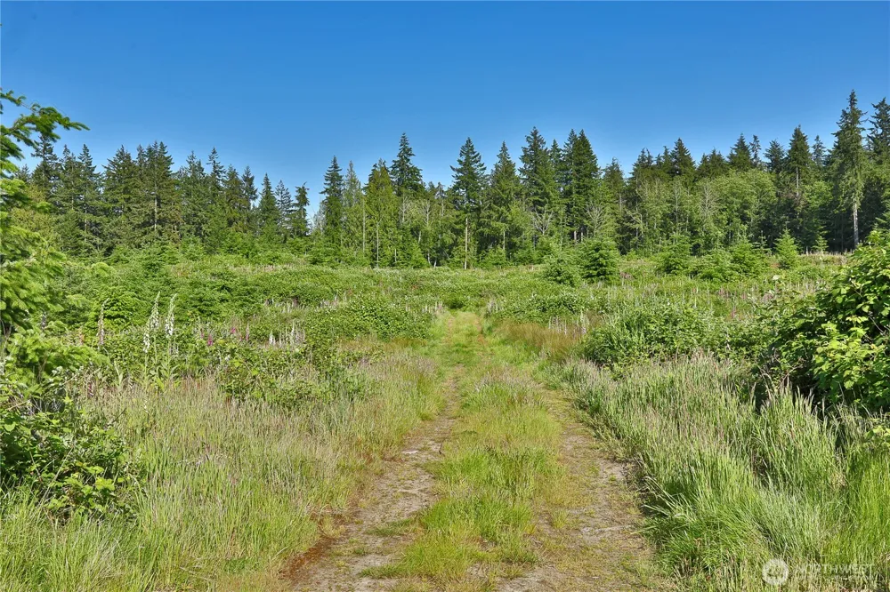 2062 Goodell Road Freeland, WA 98249