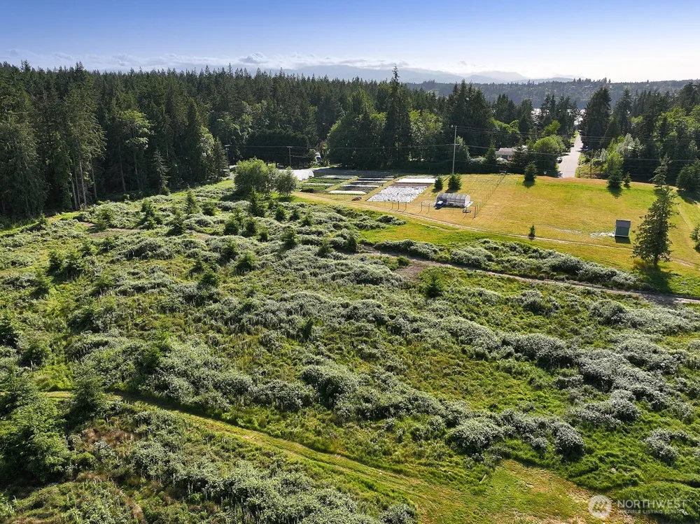 2062 Goodell Road Freeland, WA 98249