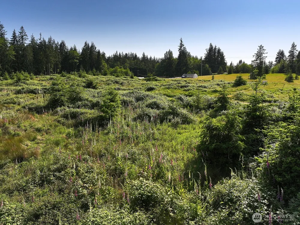 2062 Goodell Road Freeland, WA 98249