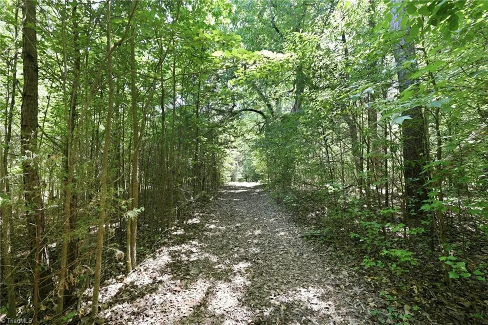 3168 Benny Lineberry Road Climax, NC 27233