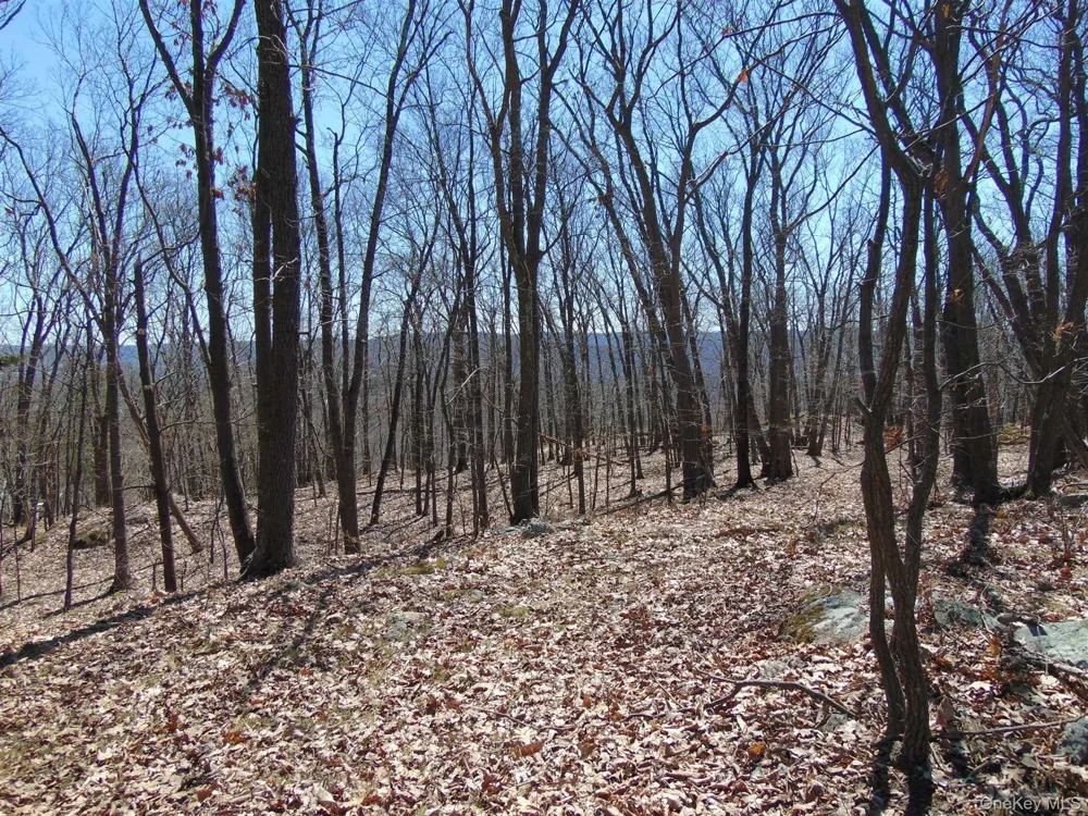 382 CEDAR HILL ROAD Fishkill, NY 12524