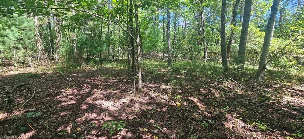 552 Tom Hunter Road Pilot Mountain, NC 27041