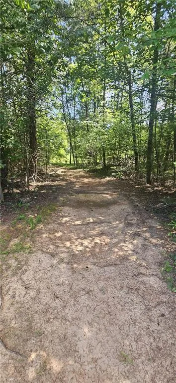 552 Tom Hunter Road Pilot Mountain, NC 27041
