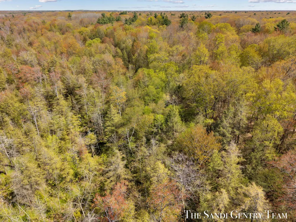 Orshal Road Whitehall, MI 49461