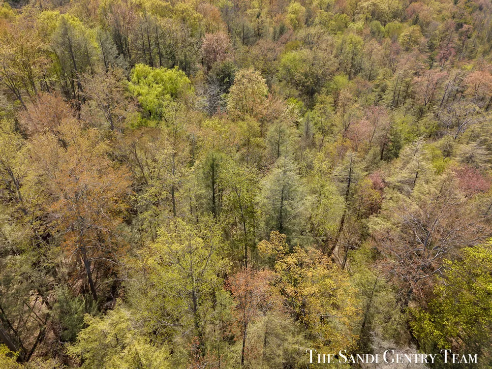 Orshal Road Whitehall, MI 49461