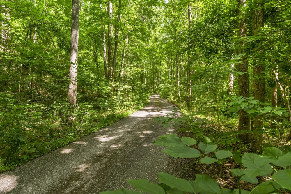 2266 S Main Street Lobelville, TN 37097