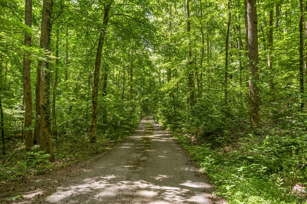 2266 S Main Street Lobelville, TN 37097
