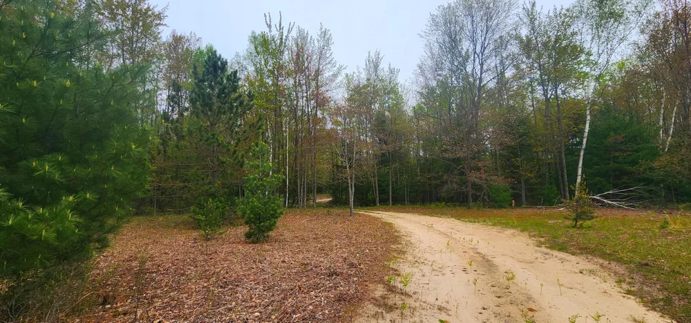 2187 W Koenig Road Manistee, MI 49660