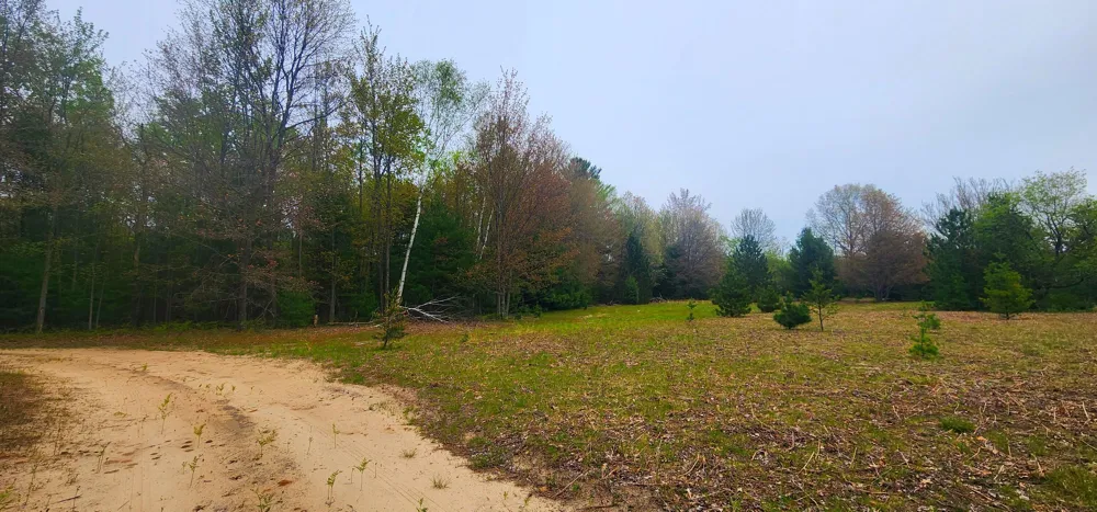 2187 W Koenig Road Manistee, MI 49660