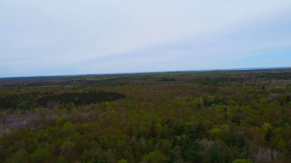 2187 W Koenig Road Manistee, MI 49660