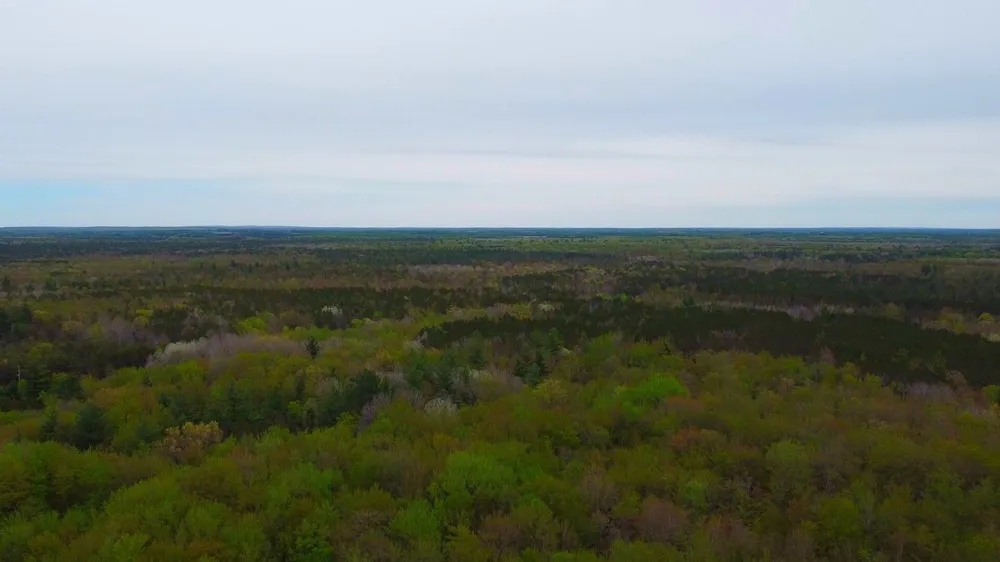 2187 W Koenig Road Manistee, MI 49660