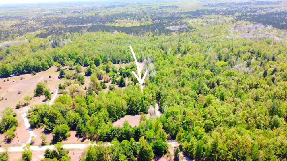 2187 W Koenig Road Manistee, MI 49660