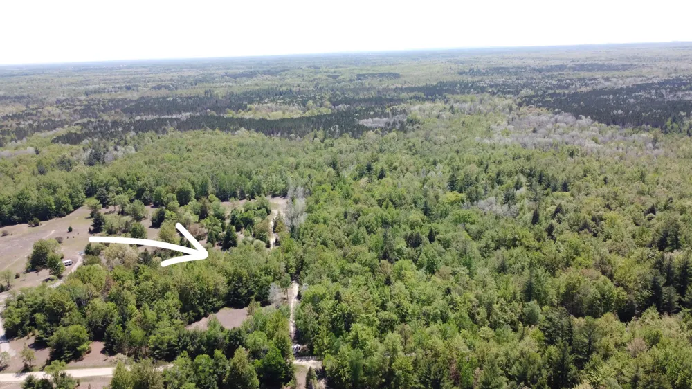 2187 W Koenig Road Manistee, MI 49660