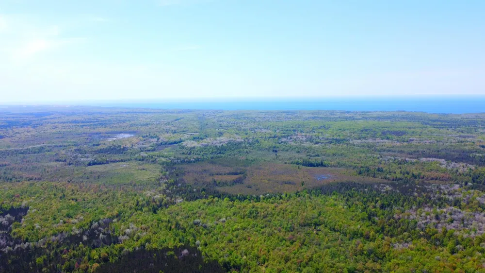 2187 W Koenig Road Manistee, MI 49660
