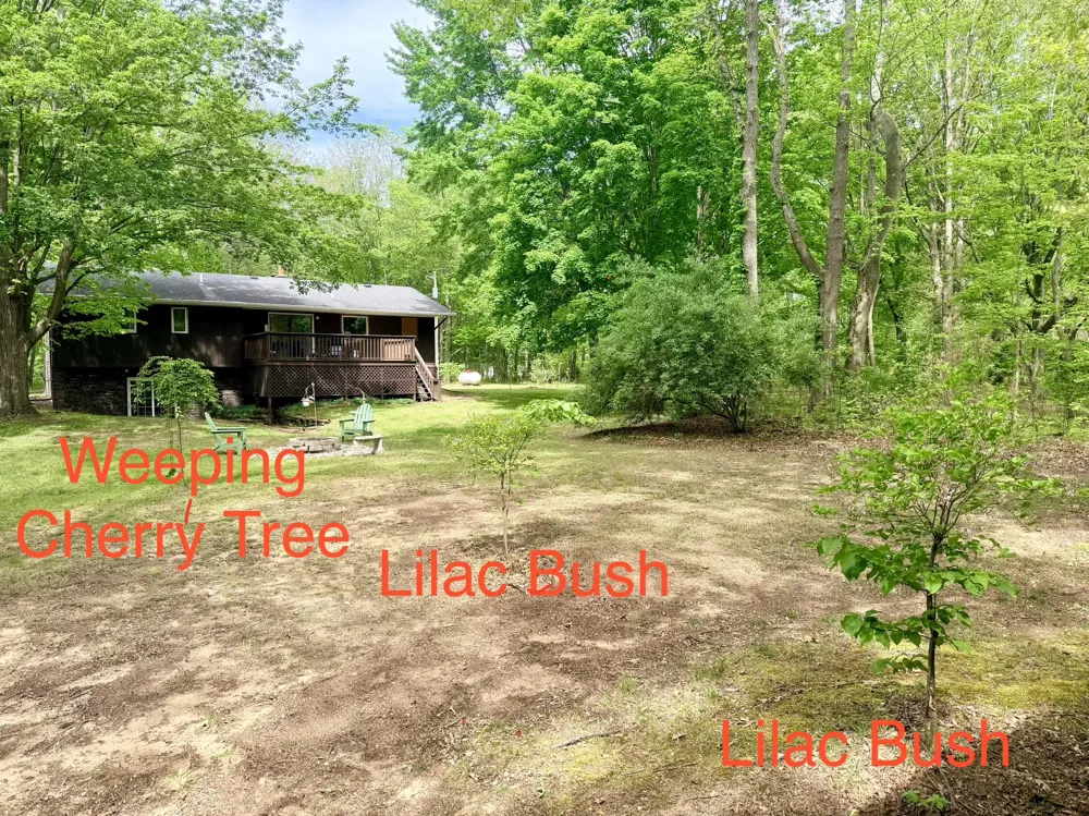 13953 Minnich Road Sawyer, MI 49125