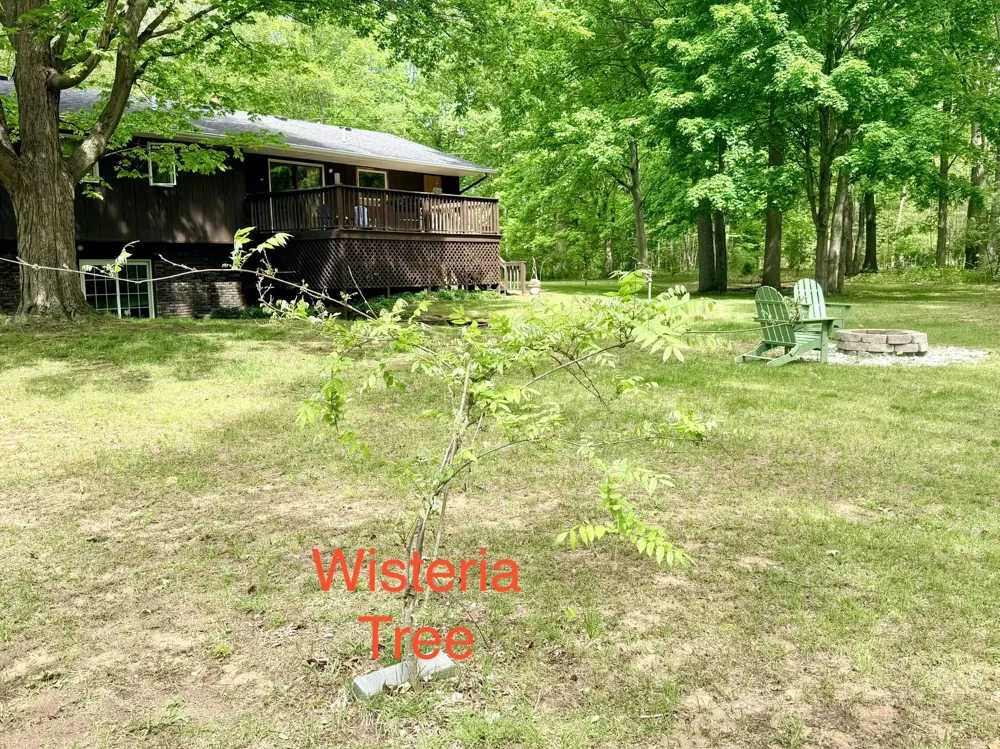 13953 Minnich Road Sawyer, MI 49125