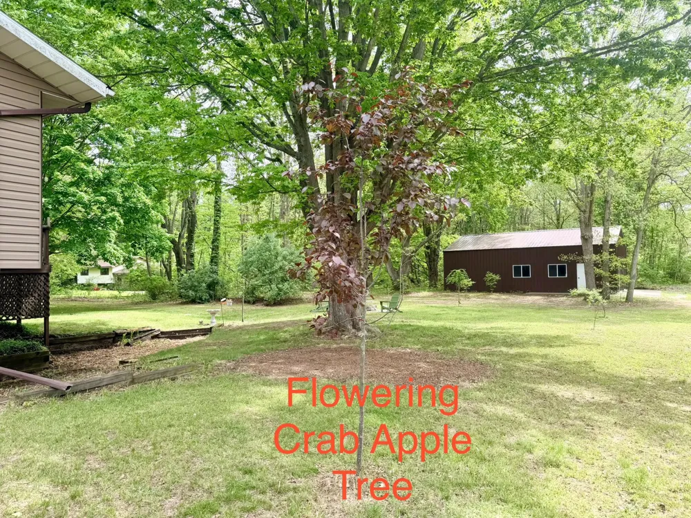 13953 Minnich Road Sawyer, MI 49125