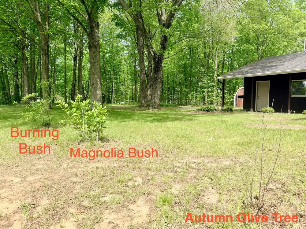 13953 Minnich Road Sawyer, MI 49125