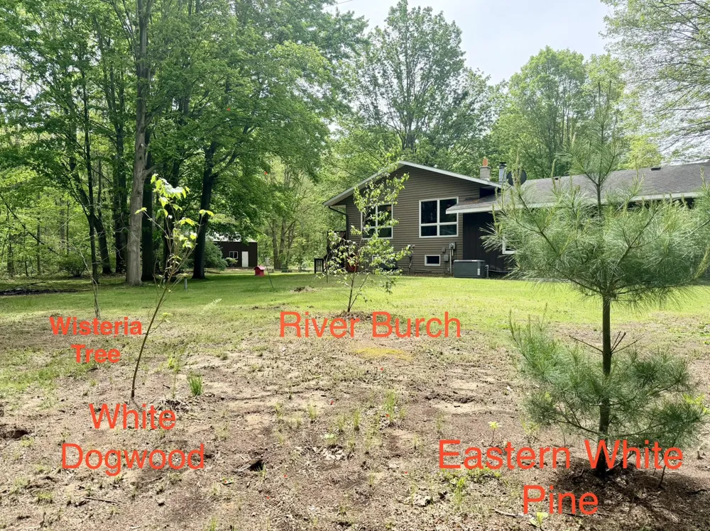 13953 Minnich Road Sawyer, MI 49125
