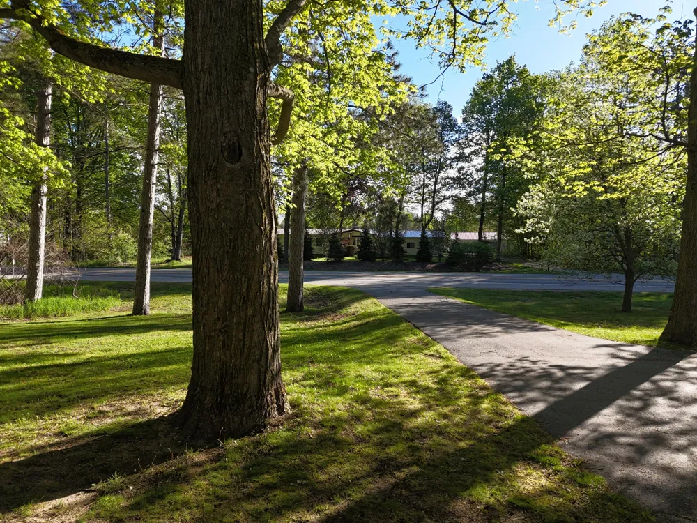 16263 Cadillac Highway Thompsonville, MI 49683