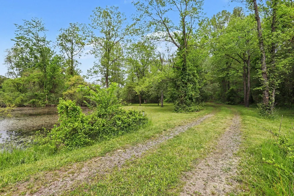 12190 Pineayr Drive Climax, MI 49034