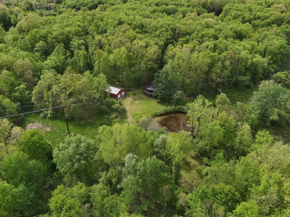 12190 Pineayr Drive Climax, MI 49034