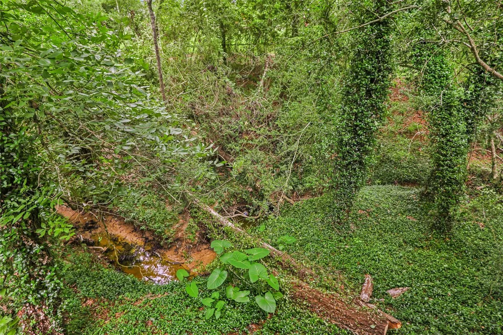 186 County Road 637 Dayton, TX 77535
