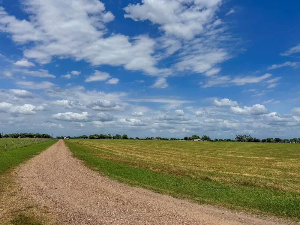 11810 Zamanek Road Needville, TX 77461