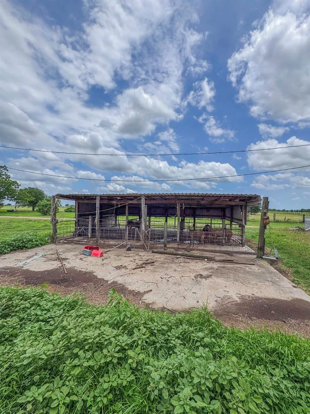 11810 Zamanek Road Needville, TX 77461