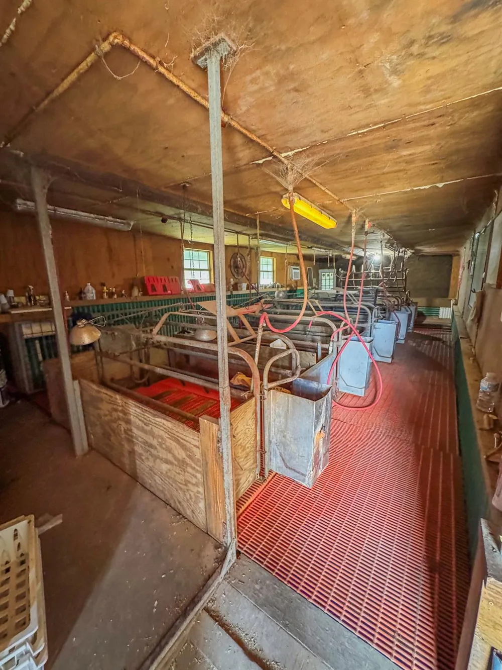 11810 Zamanek Road Needville, TX 77461