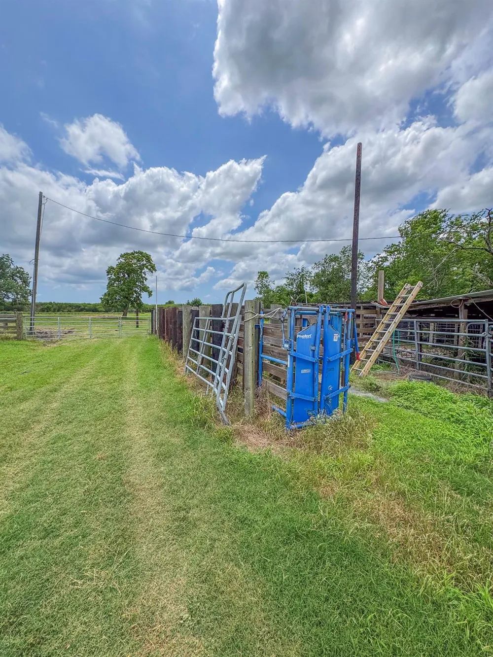 11810 Zamanek Road Needville, TX 77461