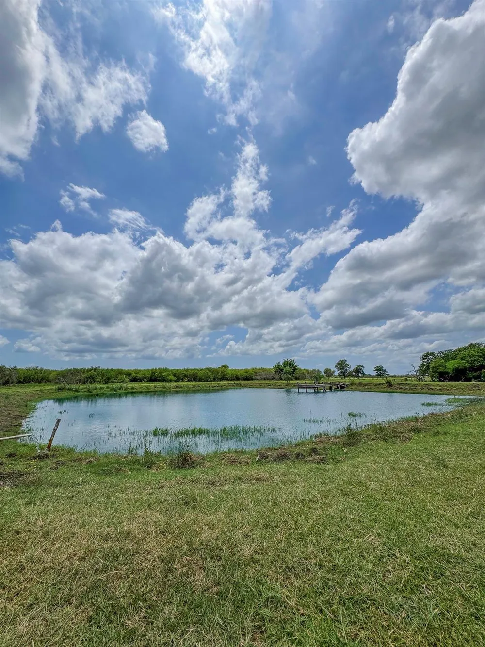 11810 Zamanek Road Needville, TX 77461