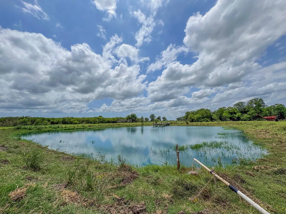 11810 Zamanek Road Needville, TX 77461