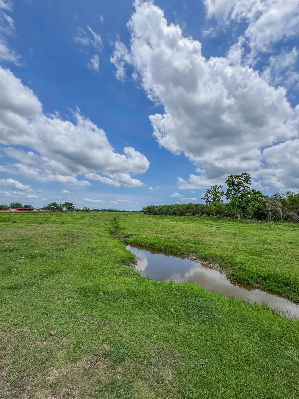 11810 Zamanek Road Needville, TX 77461