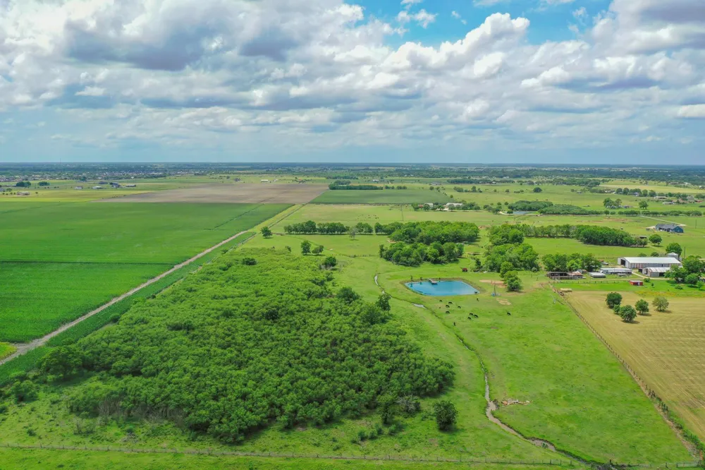 11810 Zamanek Road Needville, TX 77461