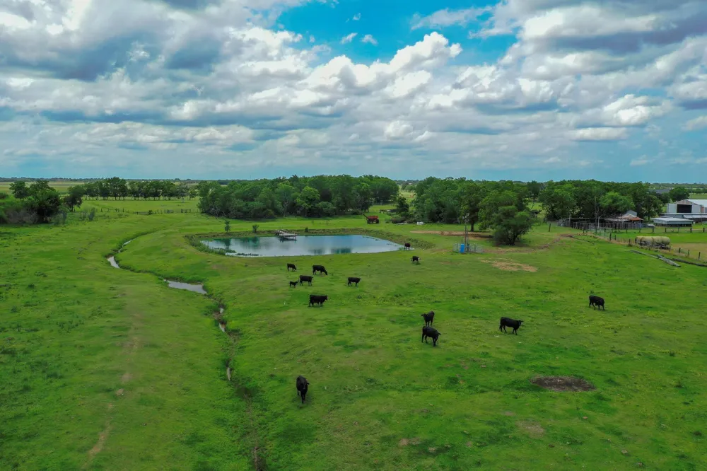 11810 Zamanek Road Needville, TX 77461