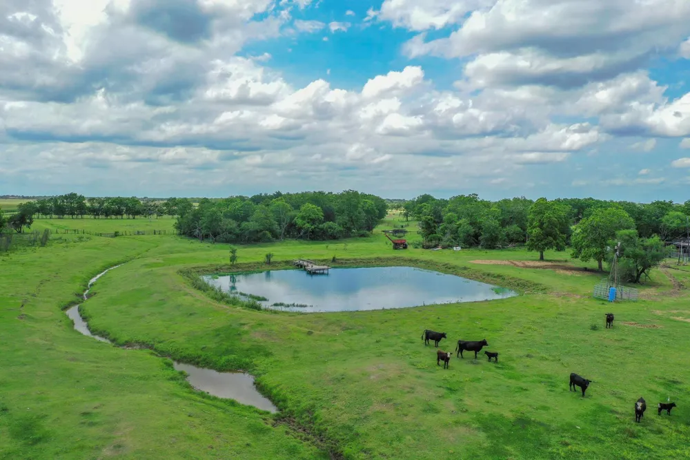 11810 Zamanek Road Needville, TX 77461