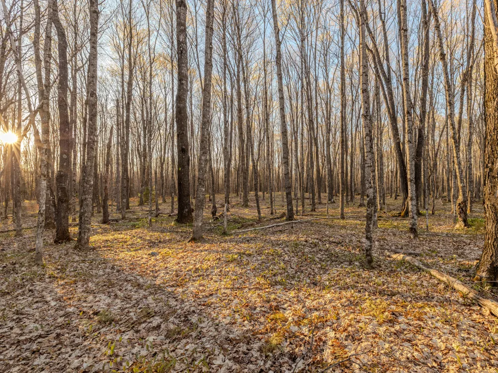 5 Federal Forest Highway 16 Iron River, MI 49935
