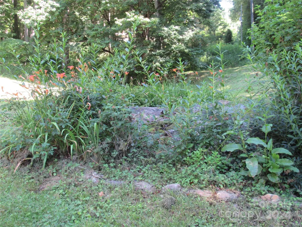 664 Woodfin Road Sylva, NC 28779