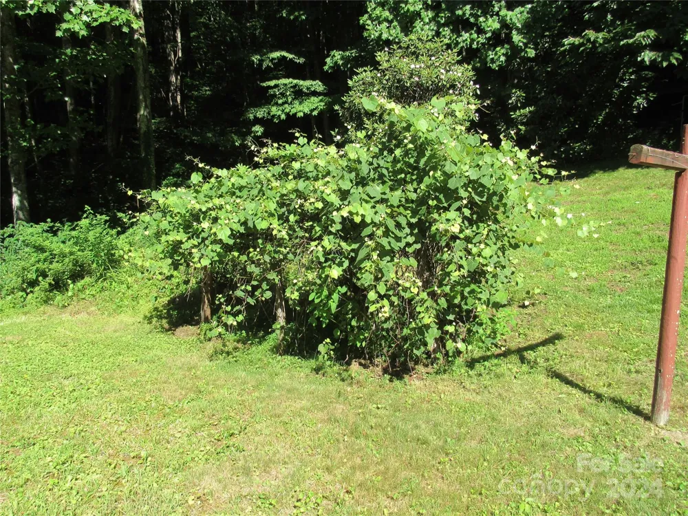 664 Woodfin Road Sylva, NC 28779