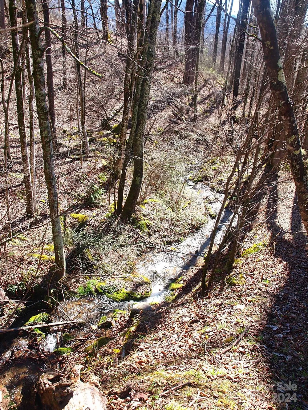 664 Woodfin Road Sylva, NC 28779